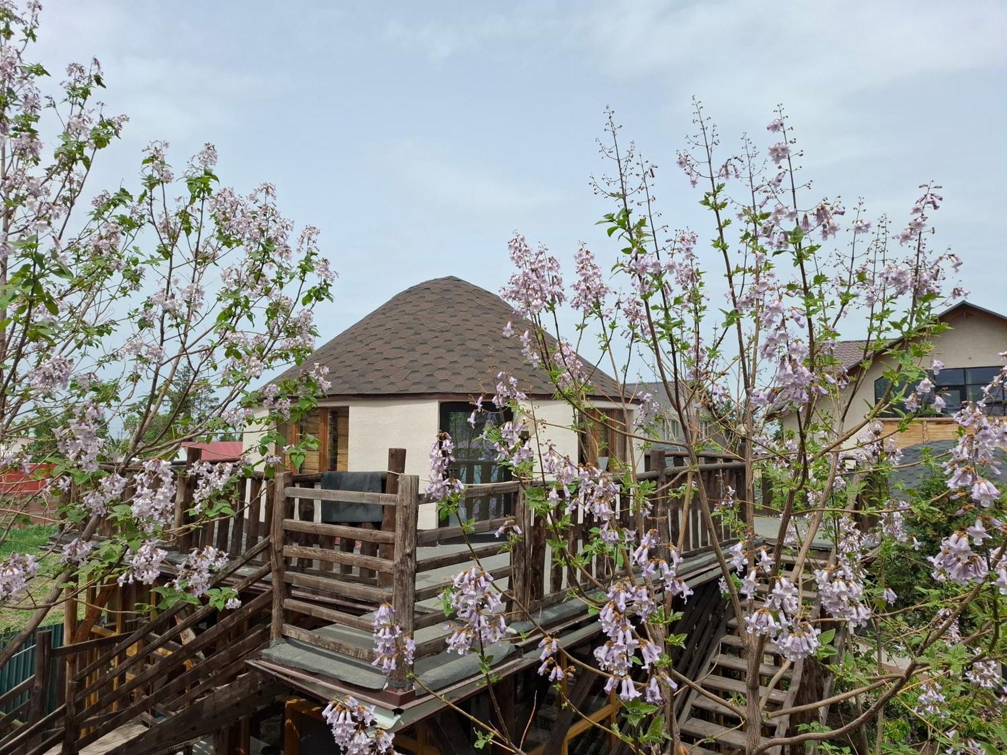 Happy Nomads Yurts & Hostel Karakol Luaran gambar